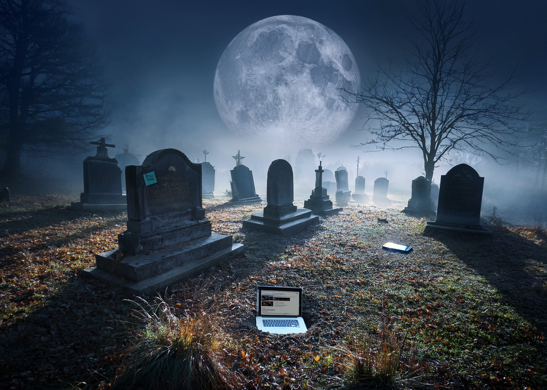 The Haunted Web